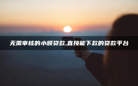 无需审核的小额贷款,直接能下款的贷款平台