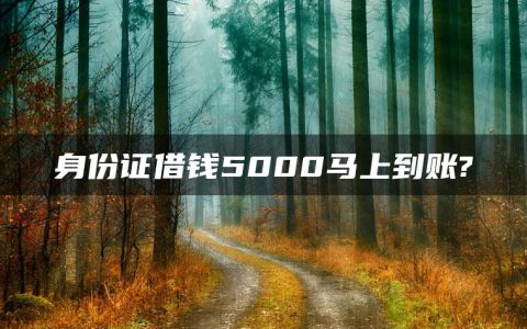 身份证借钱5000马上到账?