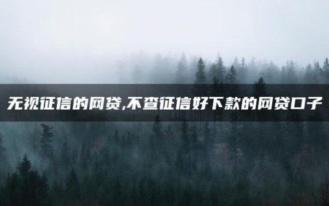 无视征信的网贷,不查征信好下款的网贷口子