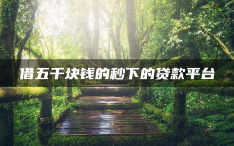 借五千块钱的秒下的贷款平台