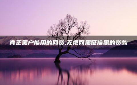 真正黑户能用的网贷,无视网黑征信黑的贷款