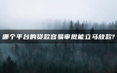 哪个平台的贷款容易审批能立马放款?资质不好哪个网贷好借款