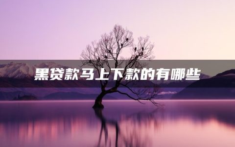 黑户去贷款马上能下款的有哪些?黑户能高额度借款的有哪些