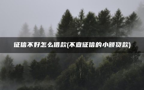 征信不好怎么借款(不查征信的小额贷款)