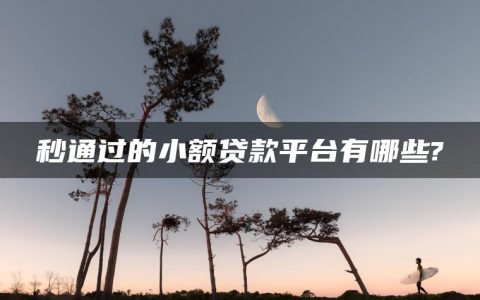 秒通过的小额贷款平台有哪些?能马上放款的网贷有哪些