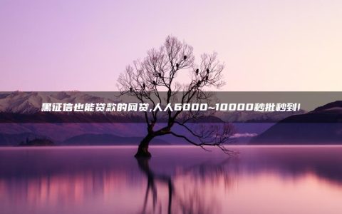 黑征信也能贷款的网贷,人人6000~10000秒批秒到!