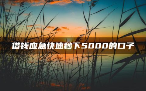 借钱应急快速秒下5000的口子