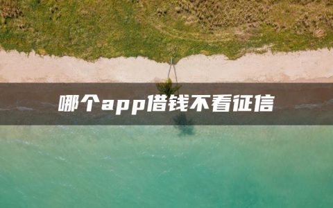 哪个app借钱不看征信?什么软件借钱好通过不查征信