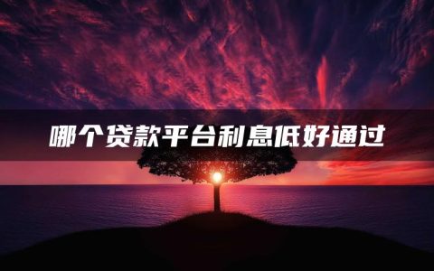 哪个贷款平台利息低好通过?哪个借贷平台额度高