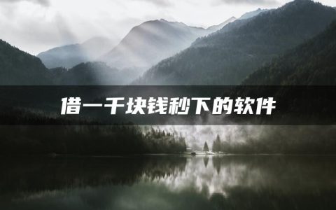 借一千块钱哪个网贷软件秒下?有没有小额借款1000元