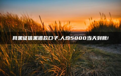 网黑征信黑借款口子,人均5000当天到账!