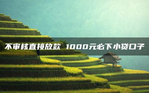 不审核直接放款 1000元必下小贷口子