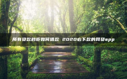 所有贷款秒拒如何借款 2020必下款的网贷app