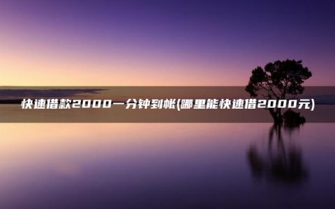 快速借款2000一分钟到帐(哪里能快速借2000元)