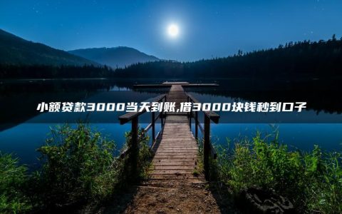 小额贷款3000当天到账,借3000块钱秒到口子