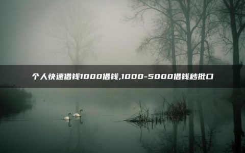 个人快速借钱1000借钱,1000-5000借钱秒批口