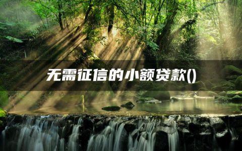 无需征信的小额贷款(不审核的小额贷款)