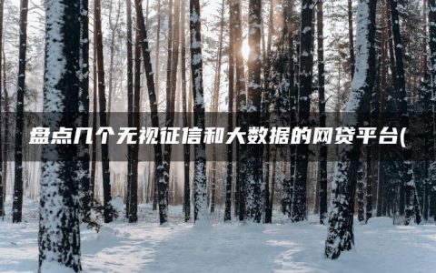 2022免审核不看征信的贷款(盘点几个无视征信和大数据的网贷平台)