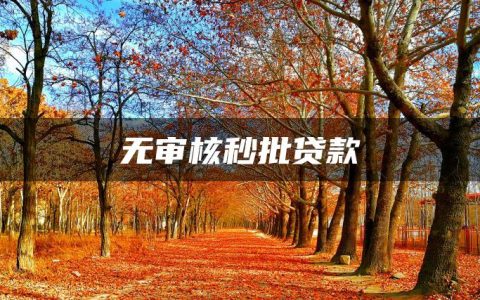 无审核秒批贷款(借钱秒到账不需要审核的网贷APP)