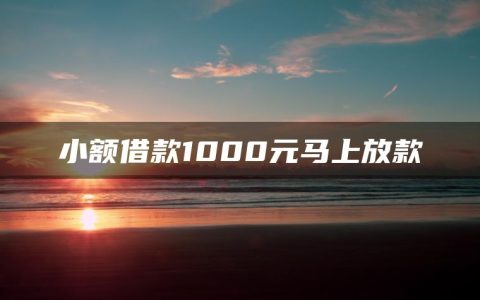 小额借款1000元马上放款(可以直接放款的小额平台有哪些)