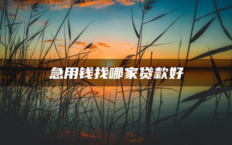 急用钱找哪家贷款好(急用钱借款平台)