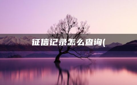 征信记录怎么查询(怎么查对方欠了多少网贷)