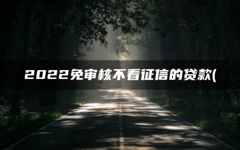 2022免审核不看征信的贷款(不看征信贷款软件)