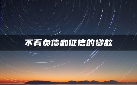 不看负债和征信的贷款(不用征信的贷款app)