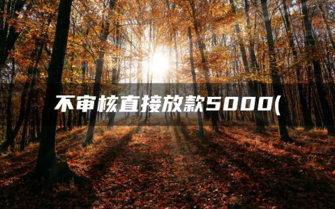 不审核直接放款5000(可以直接放款的小额平台)