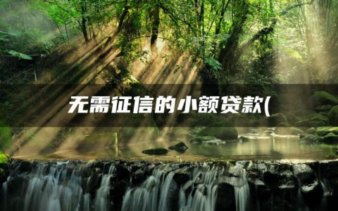 无需征信的小额贷款(有没有小额贷款不看征信的)