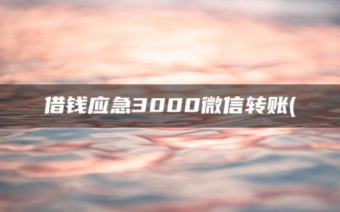 借钱应急3000微信转账(急需用钱又贷不了款怎么办)