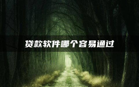 贷款软件哪个容易通过(不看征信负债的网贷百分百下款)