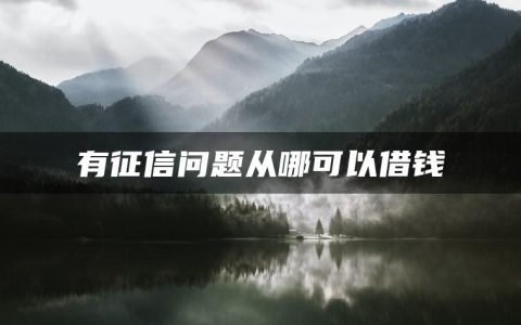 有征信问题从哪可以借钱(在线借钱贷款网)