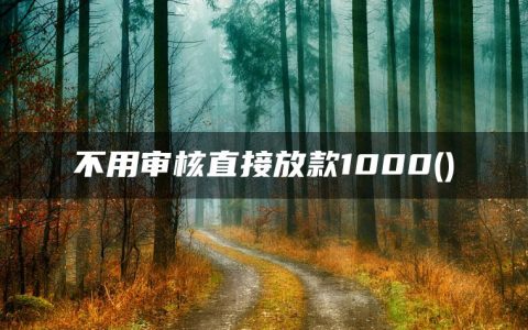 不用审核直接放款1000(线上放款不看征信的平台)