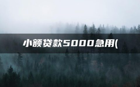 小额贷款5000急用(小额借钱1000到5000)