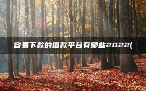 2022有哪些容易下款的借款平台(不用征信的贷款app)