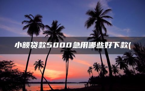 小额贷款5000急用哪些好下款(小额借钱1000到5000)