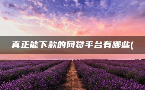 真正能下款的网贷平台有哪些(正规网贷平台排名前10名)