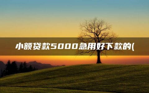 小额贷款5000急用好下款的(哪里可以借钱不被拒)