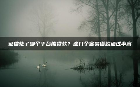 征信花了哪个平台能贷款？这几个容易借款通过率高