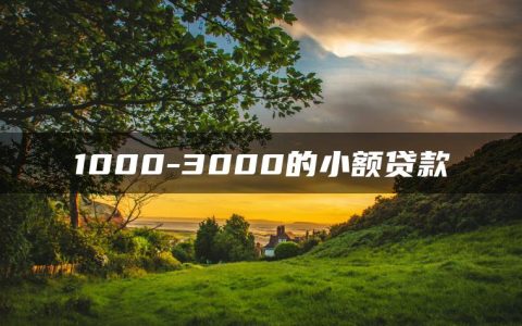 1000-3000的小额贷款(征信不好哪里可以借钱急用)