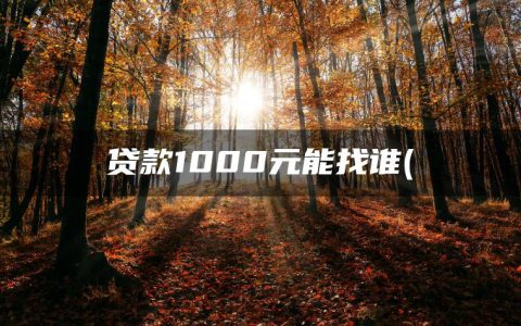 贷款1000元能找谁(什么平台可以小额借钱)