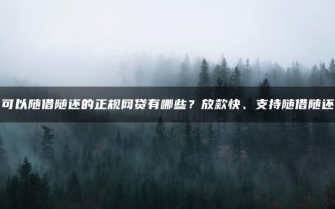 可以随借随还的正规网贷有哪些？放款快、支持随借随还