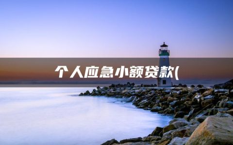 个人应急小额贷款(2022征信花负债高必过的网贷)