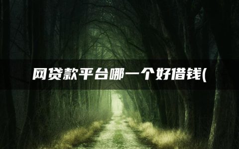 网贷款平台哪一个好借钱(不看征信负债的网贷百分百下款)