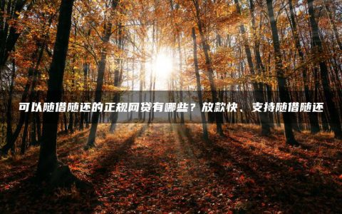 可以随借随还的正规网贷有哪些？放款快、支持随借随还