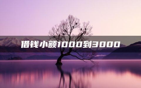 借钱小额1000到3000(5万48期上岸口子)