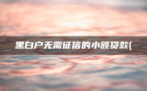 黑白户无需征信的小额贷款(借款平台哪个容易通过不看征信)