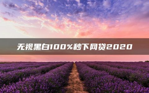 无视黑白100%秒下网贷2020(私人微信放款24小时在线)