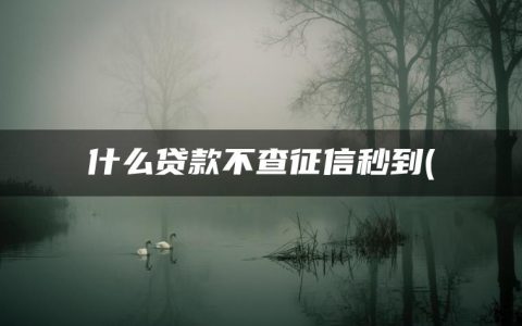 什么贷款不查征信秒到(不看负债和征信的贷款)